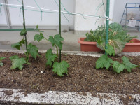 P1030339