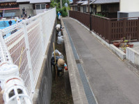 IMG_7310 (中)